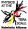 Physics at the TeraScale